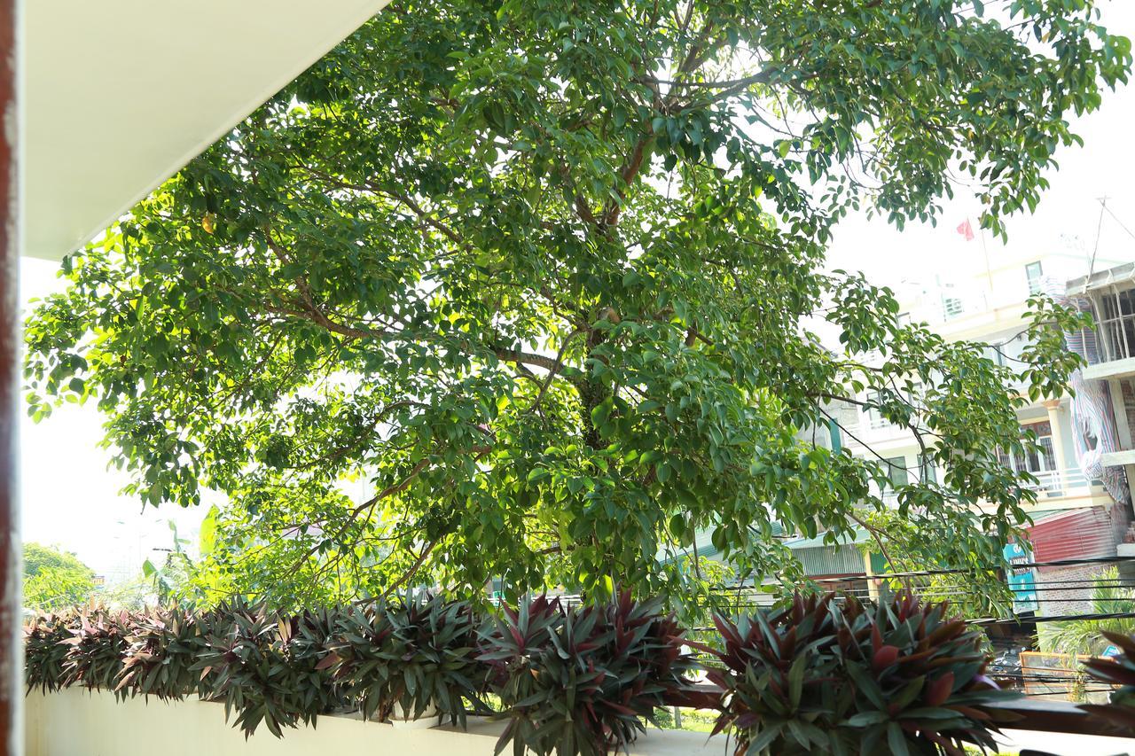 Thien Thanh Hotel Phong Nha Exterior photo